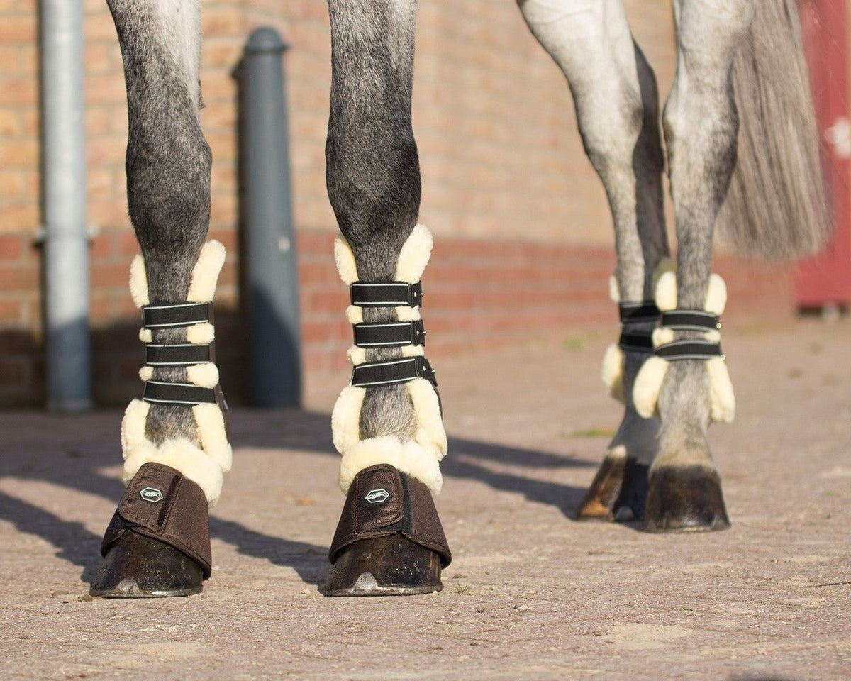 Ontario Tendon Boots - Nags Essentials