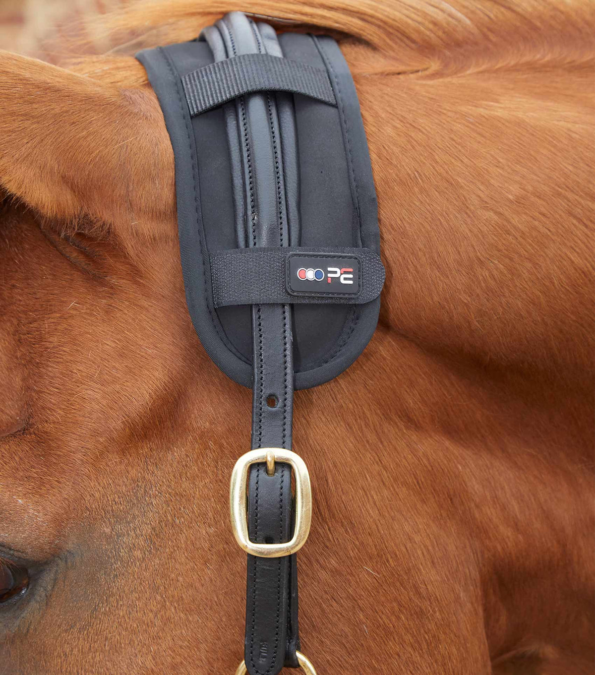 Premier Equine Magni-Teque Magnetic Poll Band - Nags Essentials