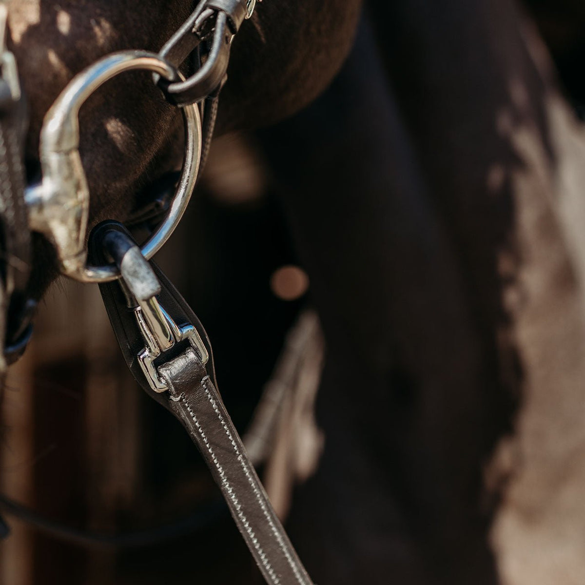 Presteq Fay Reins - Nags Essentials