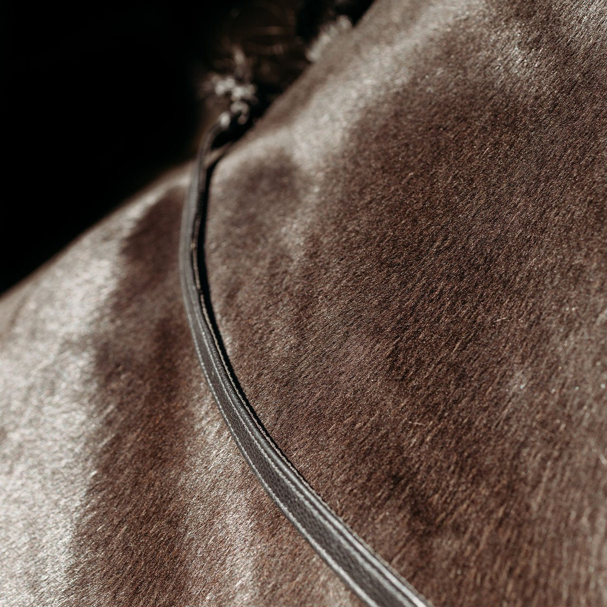 Presteq Fay Reins - Nags Essentials