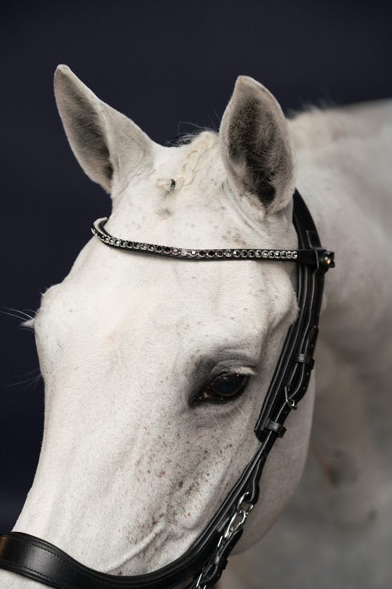 PresTeq FaySport Anatomical Bridle - Nags Essentials