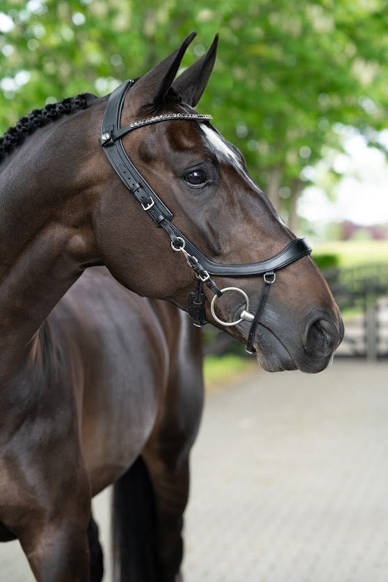 PresTeq FaySport Anatomical Bridle - Nags Essentials