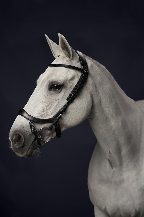 PresTeq FaySport Anatomical Bridle - Nags Essentials