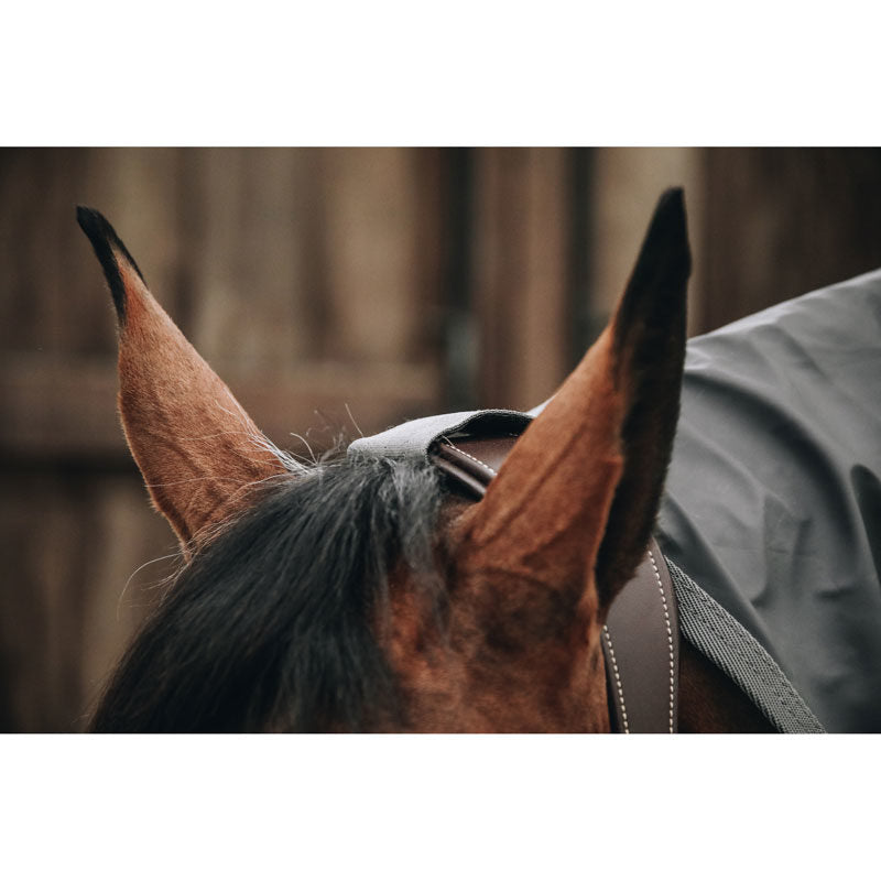 Kentucky Rain Rug Horse Rain Coat