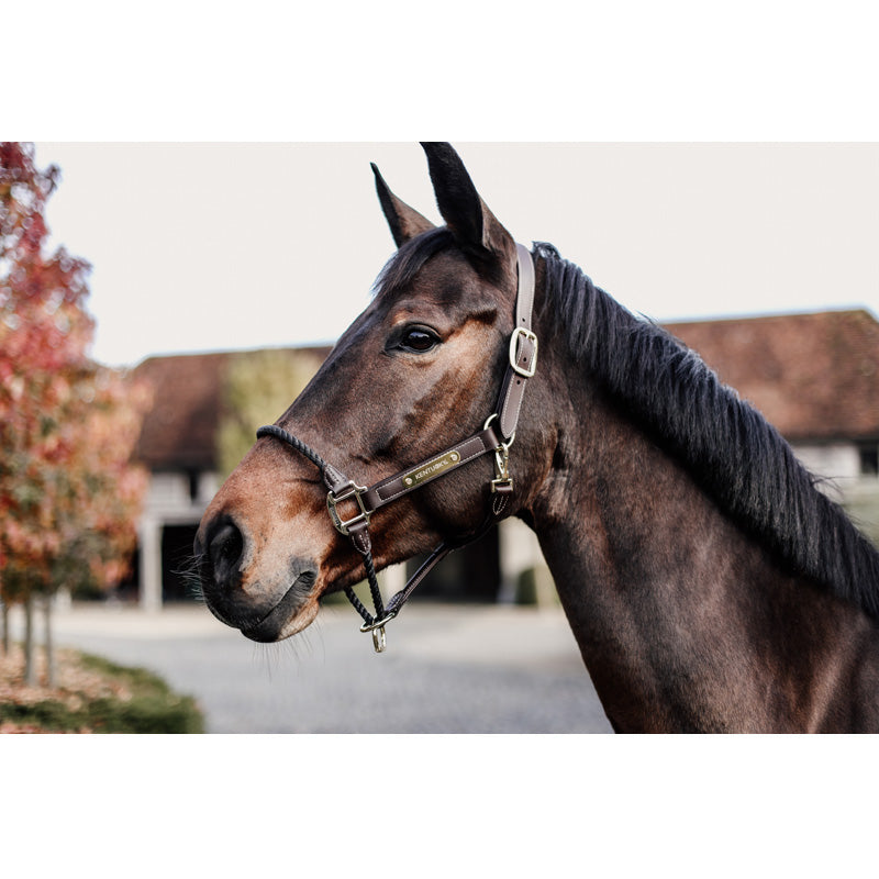Kentucky Horsewear Rope Halter - Nags Essentials