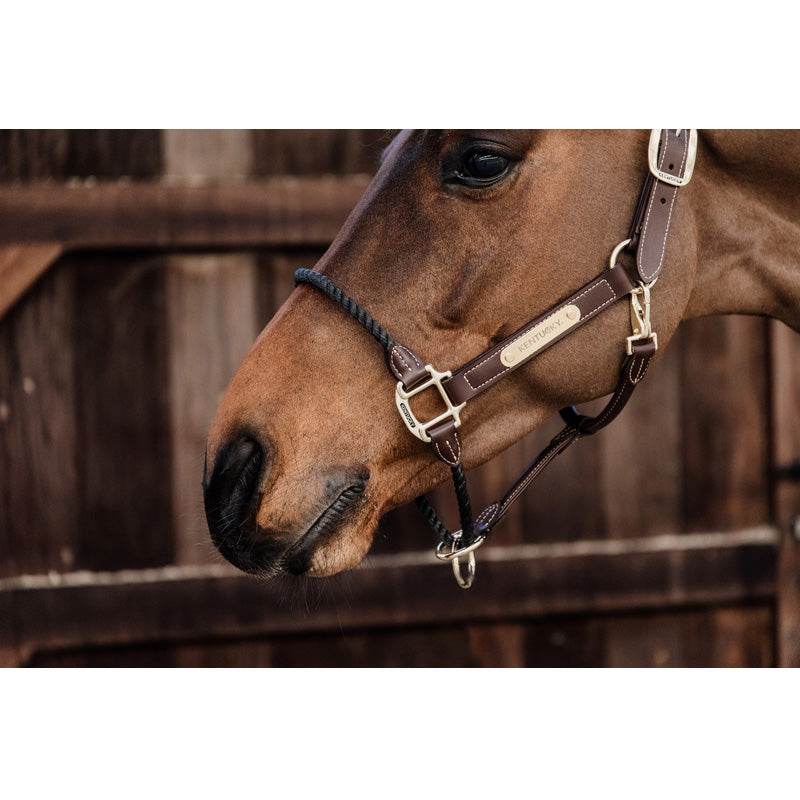 Kentucky Horsewear Rope Halter - Nags Essentials