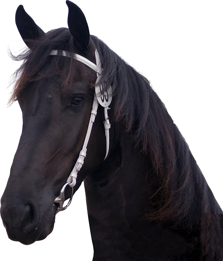 Show Bridle- White - Nags Essentials