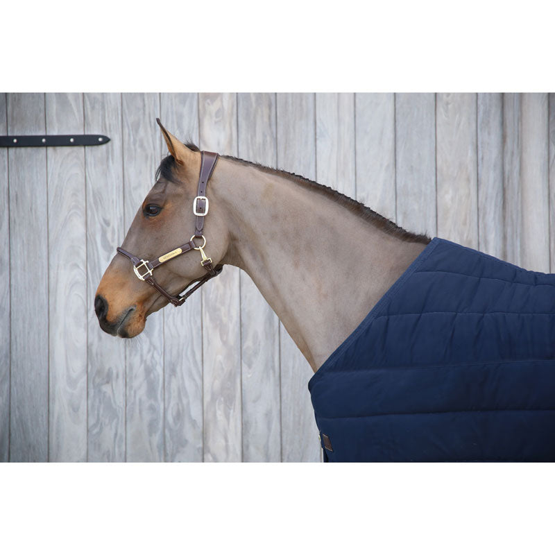 Kentucky Skin Friendly Under Rug