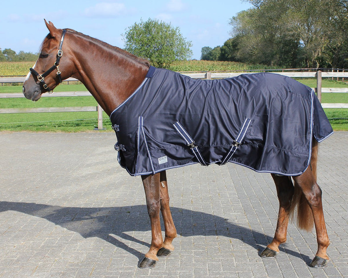 Summer Rug - Blue - Nags Essentials