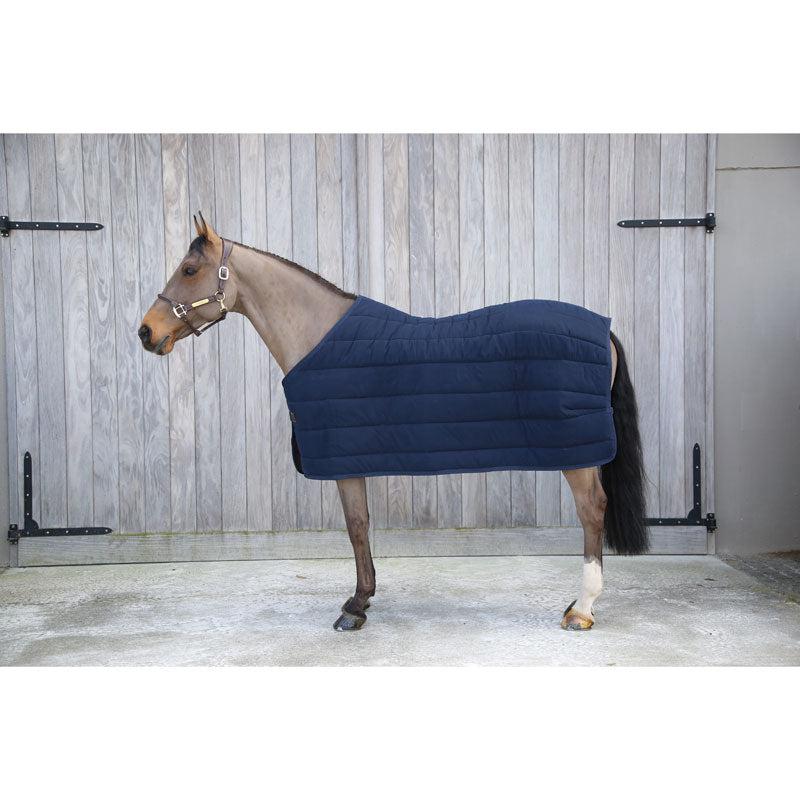 Kentucky Skin Friendly Under Rug