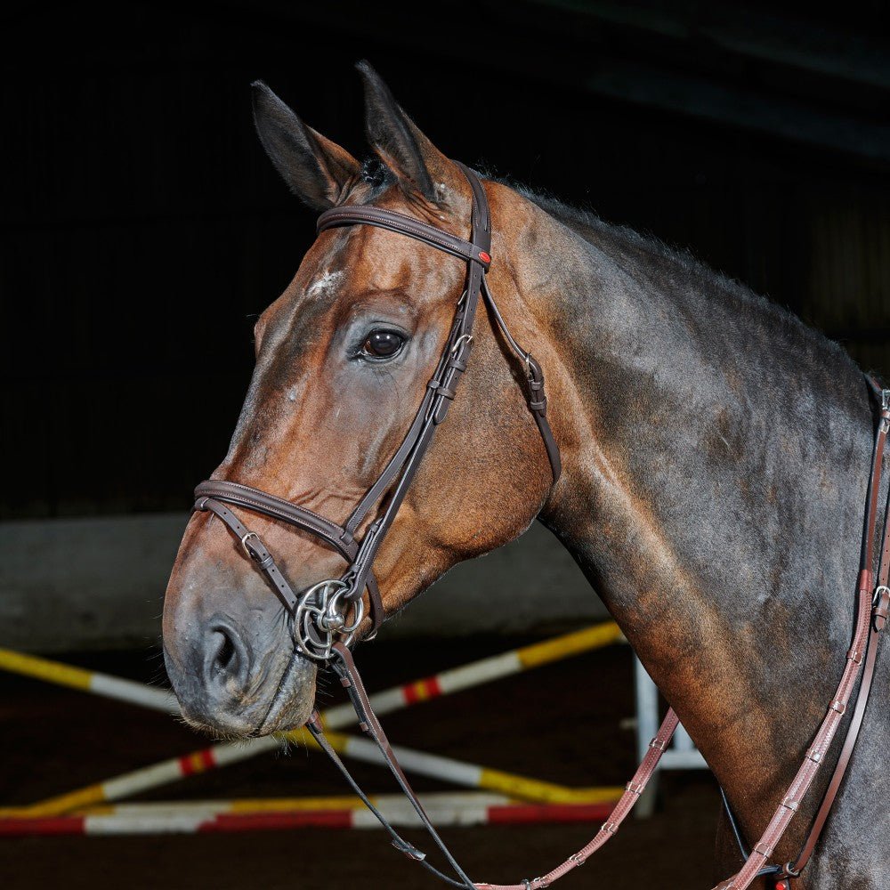 Whitaker Ready to Ride Flash Bridle - Nags Essentials