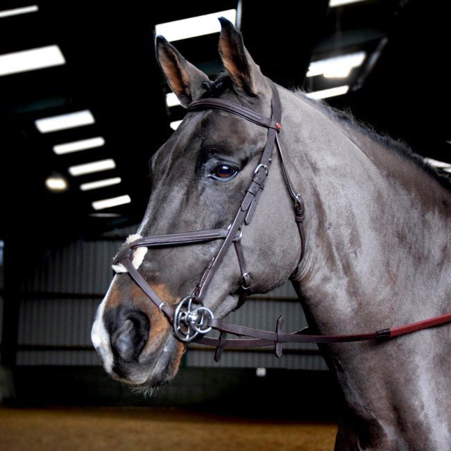 Whitaker Ready to Ride Mexican Bridle - Nags Essentials
