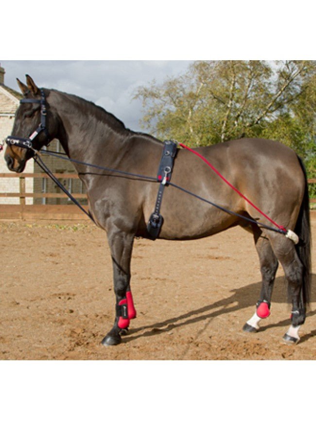 Whitaker Training System - Nags Essentials